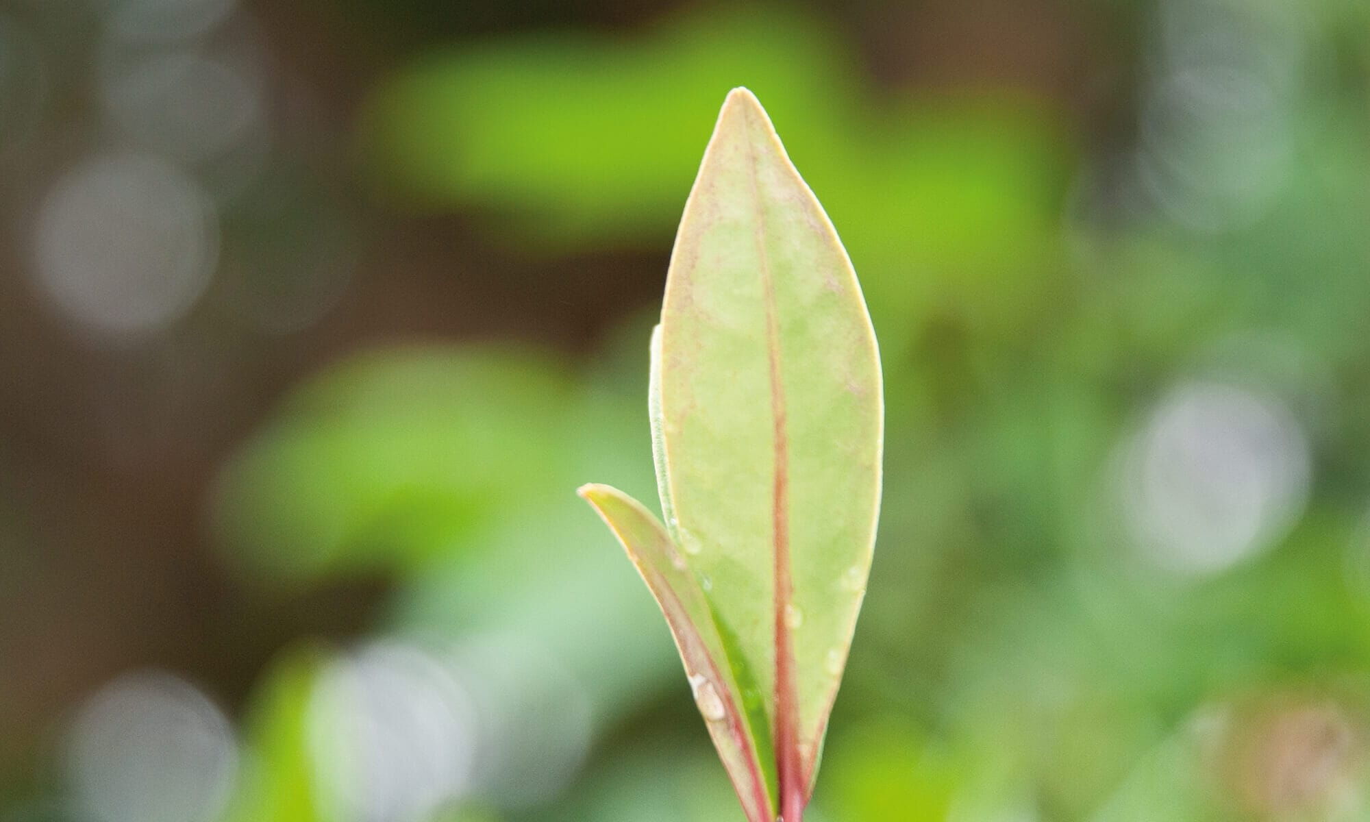 6-aktuelles-351777d4